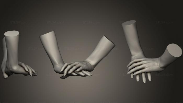 Анатомия скелеты и черепа (Женские Руки 48, ANTM_0490) 3D модель для ЧПУ станка